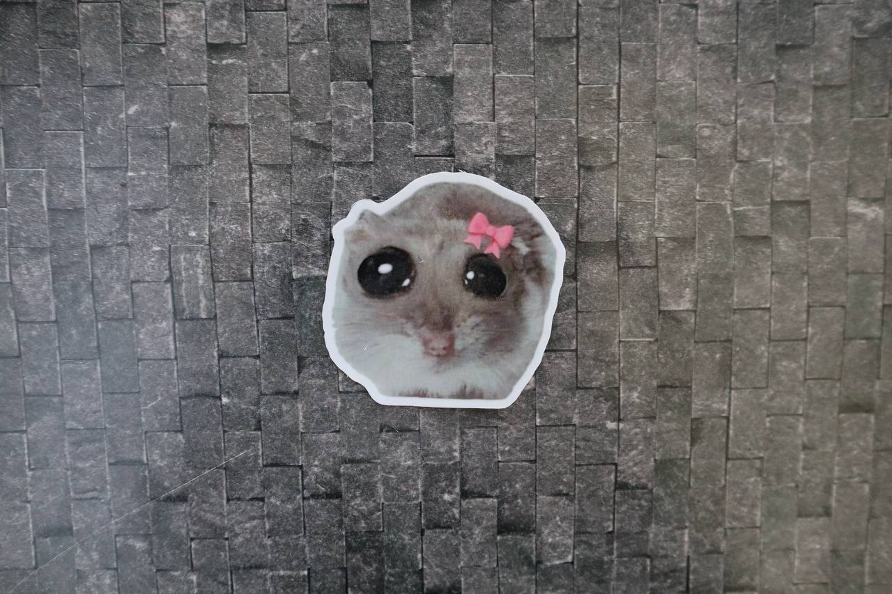 "Im just a girl" mus