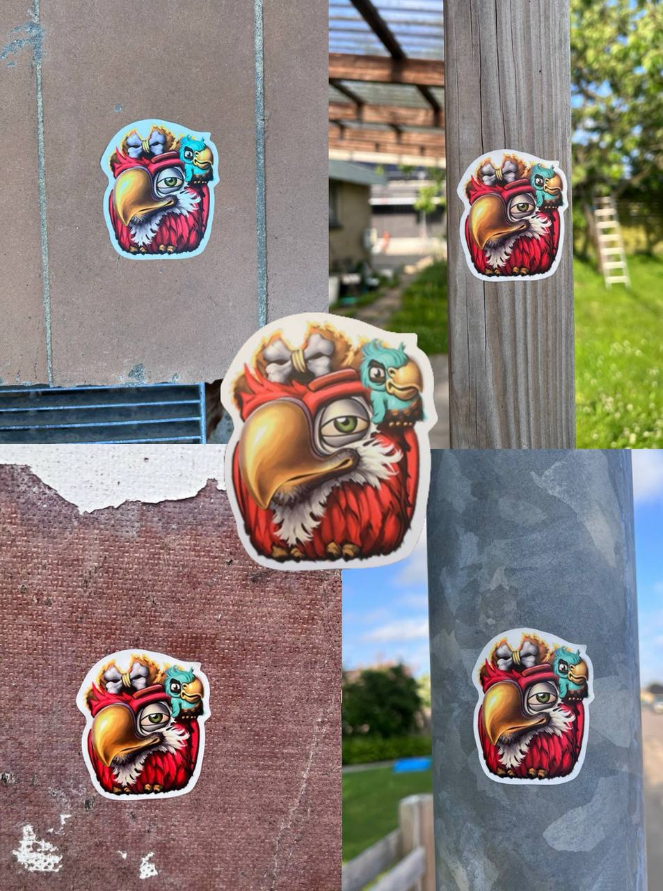 Pirots